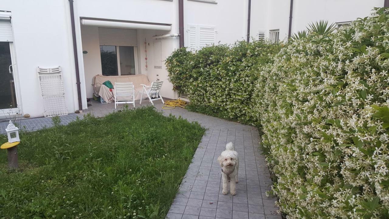 Condominio Vite Misano Adriatico Exteriör bild